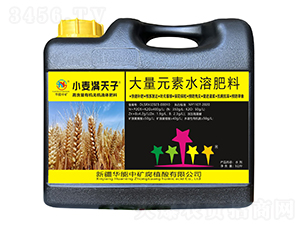 С���M����-�A���еV