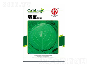 ���{�N��-�������{-���S�r(n��ng)�I(y��)