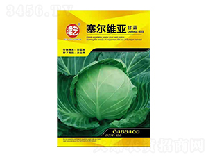 ���{�N��-ِ���S��-���S�r(n��ng)�I(y��)