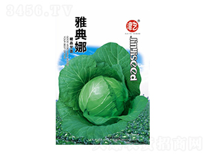 ���{�N��-�ŵ���-���S�r(n��ng)�I(y��)