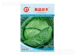 ���{�N��-���S-���S�r(n��ng)�I(y��)