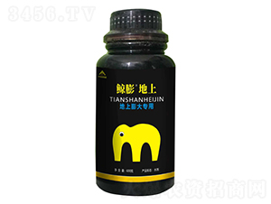 �L�����-����ú