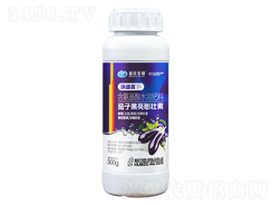 茄子黑亮膨壯素-臻盛鑫-諾爾生物