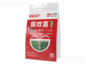 膨歡喜（拉直拉長(zhǎng)型）-中本立農(nóng)