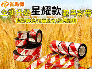 ������ζ�(q��)�B����ʎ�-ȸ�B�@-�������