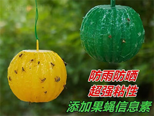 綠誘旺誘蠅球-皖樂收生物