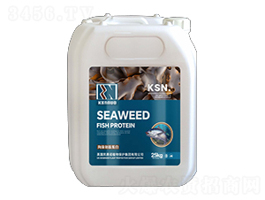 �����~�ĵ���-�Pِ�Z