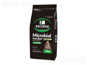 ΢�������-�Pِ�Z����-�Pِ�Z