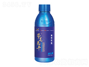 ȫ����ֲ��I�B(y��ng)��-��(ji��)�����S-���A�r�I(y��)