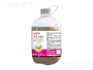 0.4%�׾����fù�`�w����2kg-�����o-���՘�