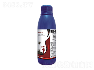 ���ס����x(ch��ng)��-���(bi��o)��tñ-��ţ��(gu��)�H