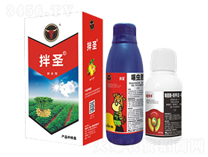 ���x(ch��ng)��+����˪�`�������桤��߻����-��ʥ-��ţ��(gu��)�H