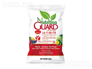 高鉀型大量元素水溶肥料13-7-40+TE-肽源生物