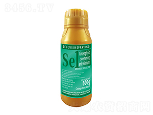 500g�˅������������������1̖(h��o)-�����r(n��ng)��