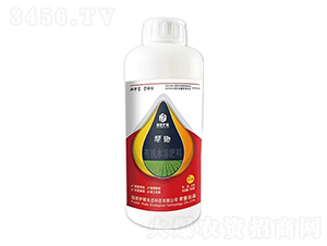 ���݄���H-���z-�����o��