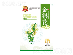 ���y����ˎ�Č�(zhu��n)��̎�턩-���S��(l��)-�瘷(l��)���r(n��ng)�I(y��)