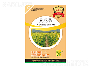 �S���������(zhu��n)�ó��݄�-���S��(l��)-�瘷(l��)���r(n��ng)�I(y��)