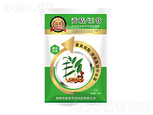 �S��/����ٺϿ���ˎ�Č�(zhu��n)�ó��݄�-����