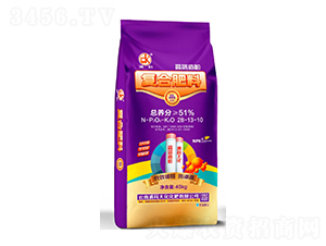 ����������(f��)�Ϸ���28-13-10-��ƴ�