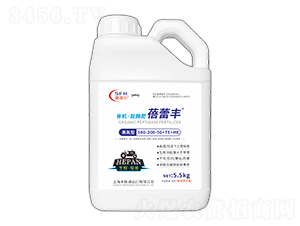 �ߵ����ЙC(j��)����ø��300-200-50+TE+HE-�����S-�����r(n��ng)�I(y��)