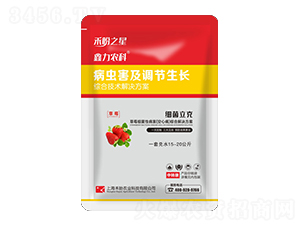 草莓細菌性病害（空心?。┚C合解決方案-細菌立克-禾盼之星-禾盼農(nóng)業(yè)