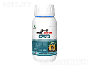 ʮ��Ԫ��-�~����-���r�W��