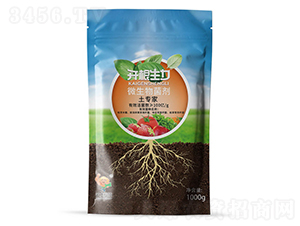 ΢��������ۄ�100�|��(f��)�Ͼ�����(zhu��n)��-�_(k��i)������-�ƴ�Ƽ�