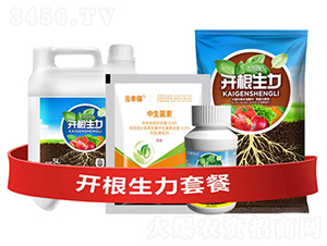 �_�������ײ�G-�ƴ�Ƽ�