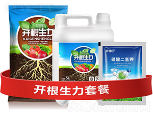 �_�������ײ�D-�ƴ�Ƽ�