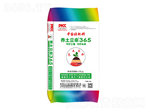 �B(y��ng)������365-�B(y��ng)������