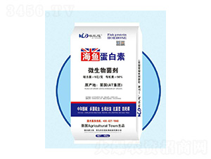 ΢�������-���~(y��)������-�r(n��ng)��(l��)������