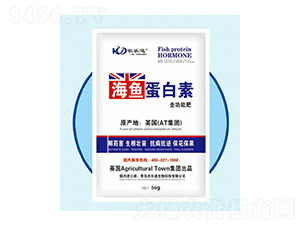 ȫ���ܷ�-���~(y��)������-�r(n��ng)��(l��)������