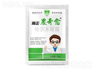 ����ľù��-����r(n��ng)����-������r(n��ng)