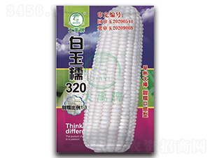 ����Ŵ320���׷N��-�����N�I(y��)