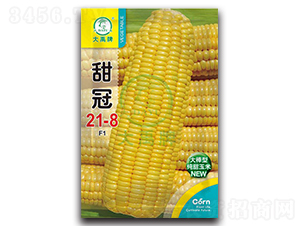 ���21-8���׷N��-�����N�I(y��)