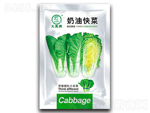 ���Ϳ��С�ײ˷N��-�����N�I(y��)