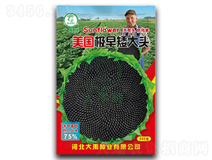 �����O�簫���^-�Ϳ��N��-�����N�I(y��)