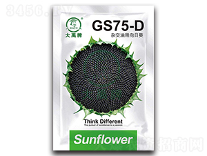 GS75-D-�Ϳ��N��-�����N�I(y��)