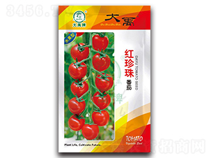 �t���鷬�ѷN��-�����N�I(y��)