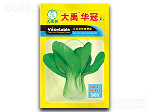 �����A���Ͳ˷N��-�����N�I(y��)