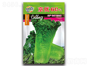 ����(y��u)60���{�N��-�����N�I(y��)