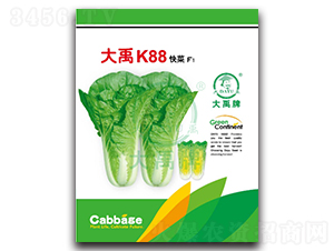 ����K88���{�N��-�����N�I(y��)