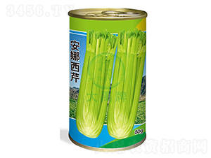 ��������-�۲˷N��-�����N�I(y��)