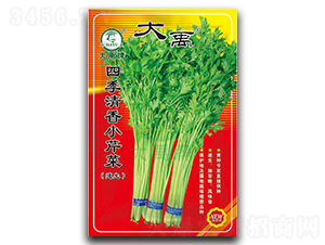 �ļ�����С�۲�-�۲˷N��-�����N�I(y��)