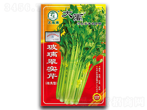 �����䌍��-�۲˷N��-�����N�I(y��)