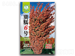 ��Ŵ6̖(h��o)�����N��-�����N�I(y��)