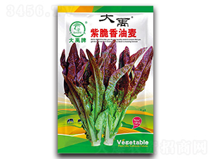 �ϴ����������˷N��-�����N�I(y��)