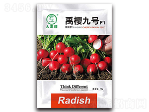 ��Ѿ�̖(h��o)�����}���N��-�����N�I(y��)