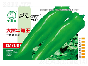 ����ţ����-�����N��-�����N�I(y��)