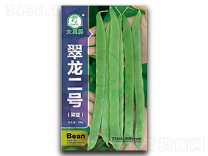 ������̖-�ܶ��N��-�����N�I(y��)